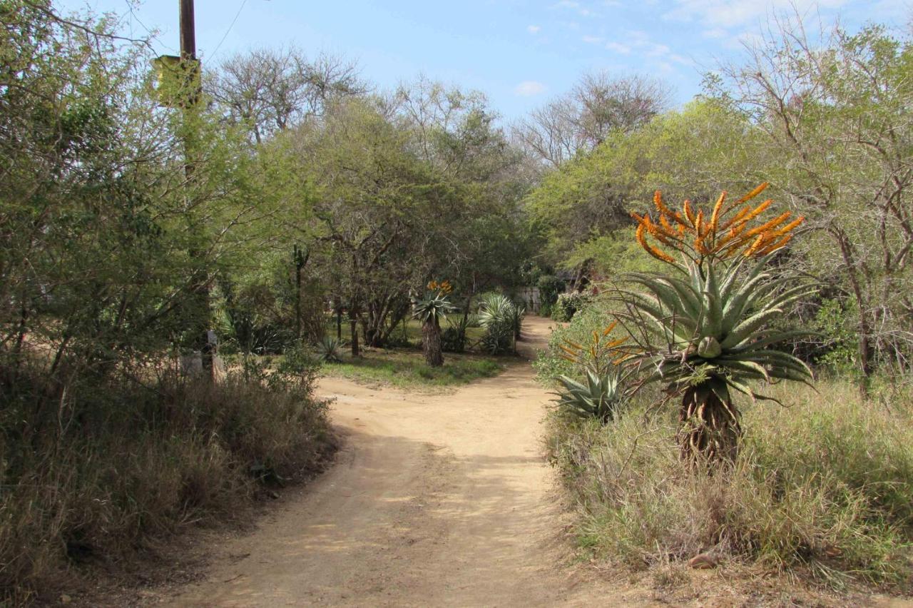 Amanzimlotzi Riverside Bush Camp Hoedspruit Ngoại thất bức ảnh