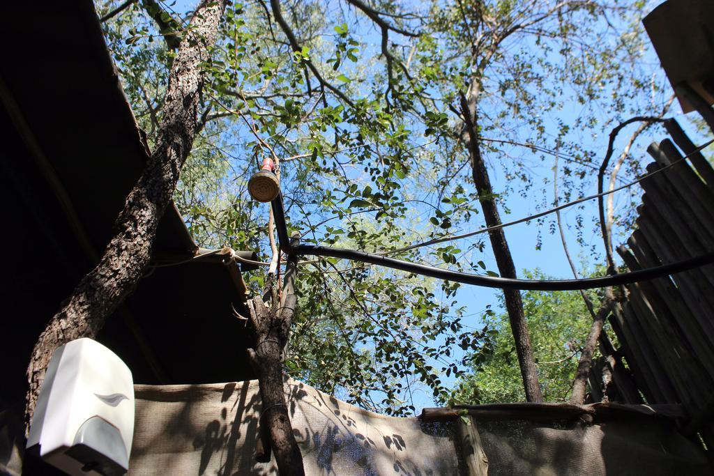 Amanzimlotzi Riverside Bush Camp Hoedspruit Ngoại thất bức ảnh