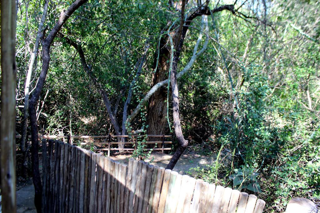 Amanzimlotzi Riverside Bush Camp Hoedspruit Ngoại thất bức ảnh