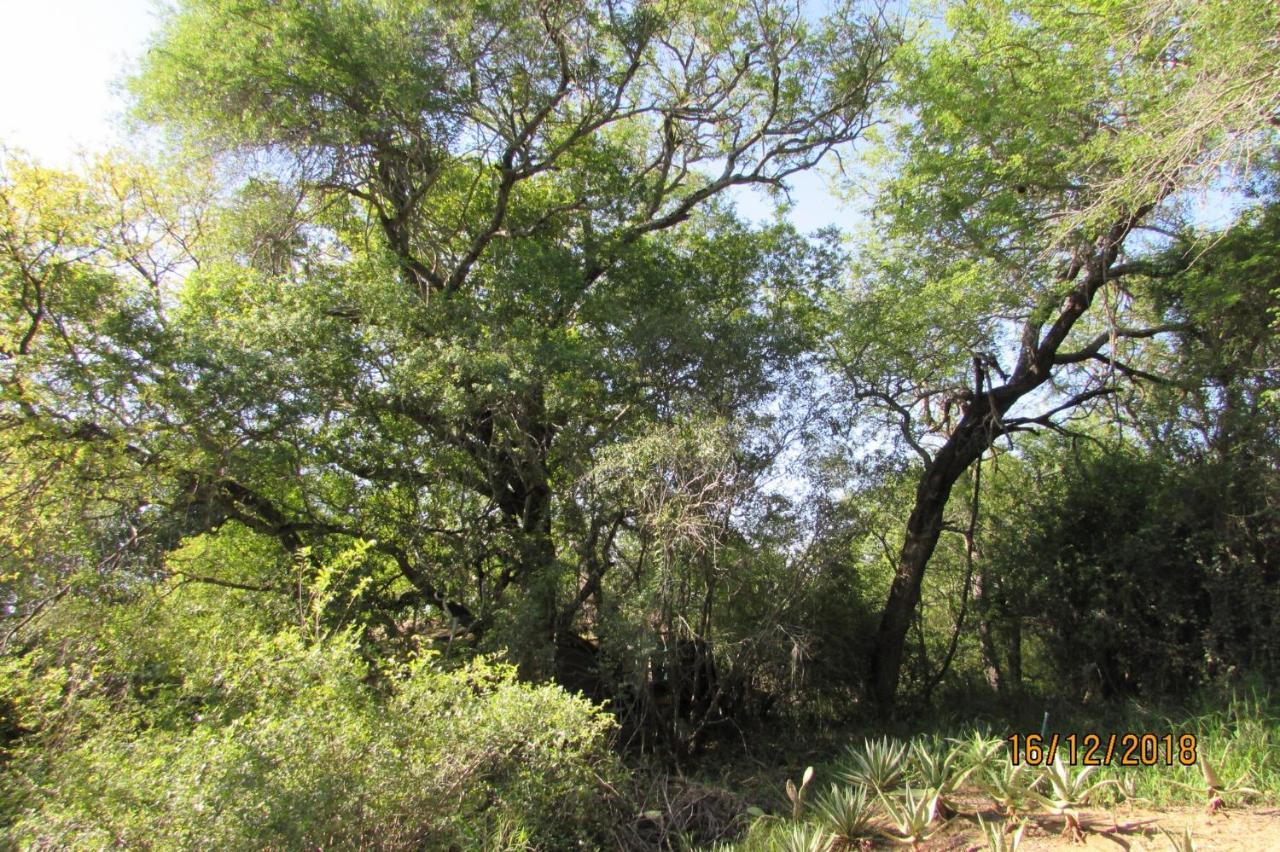 Amanzimlotzi Riverside Bush Camp Hoedspruit Ngoại thất bức ảnh