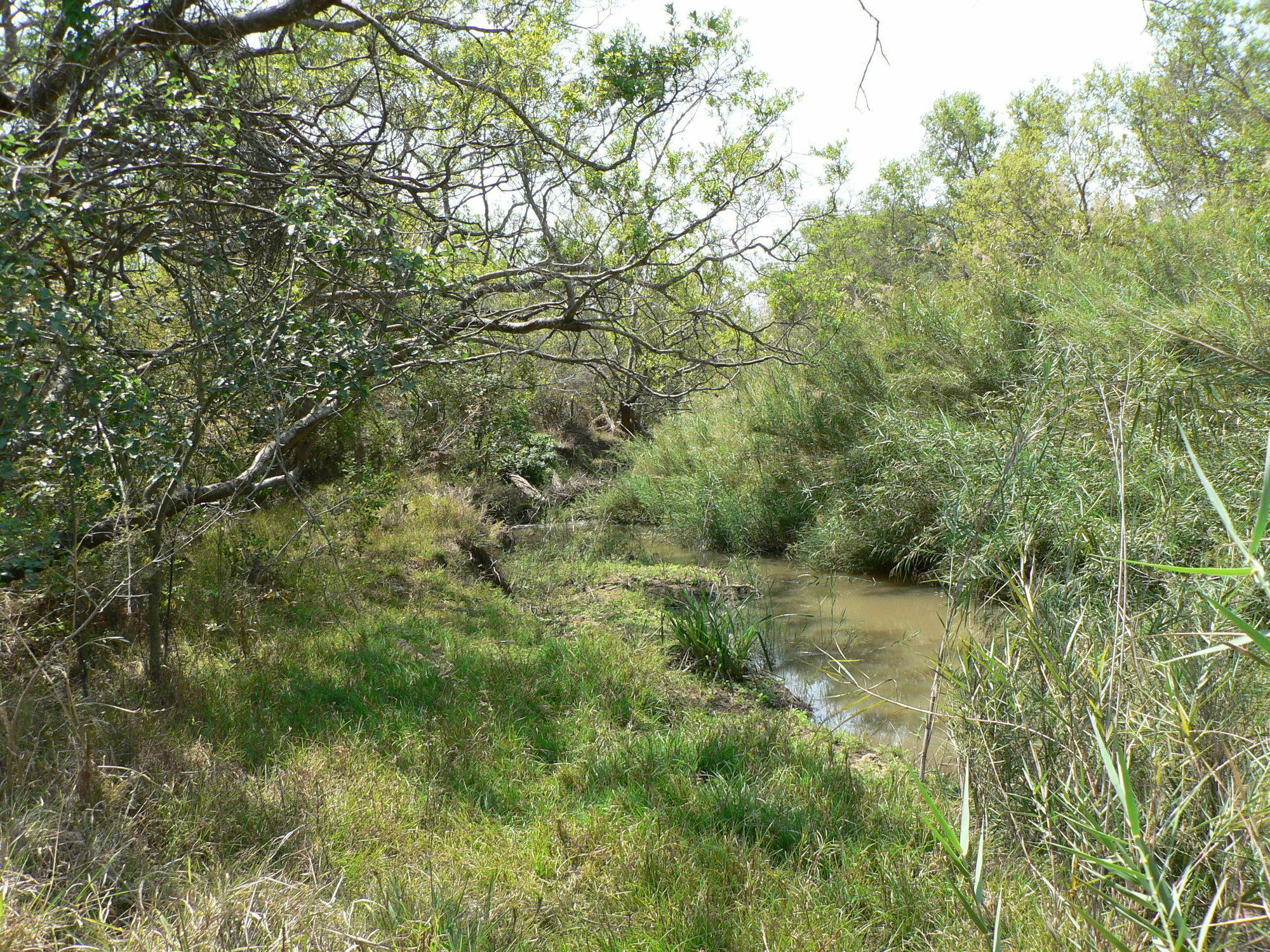 Amanzimlotzi Riverside Bush Camp Hoedspruit Ngoại thất bức ảnh